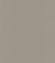 Armani Casa Precious Fibers 2 Plain Salome-Iolanta-Nabucco-Lohengrin 9063 GA4 10м x 87см поверхность матовая