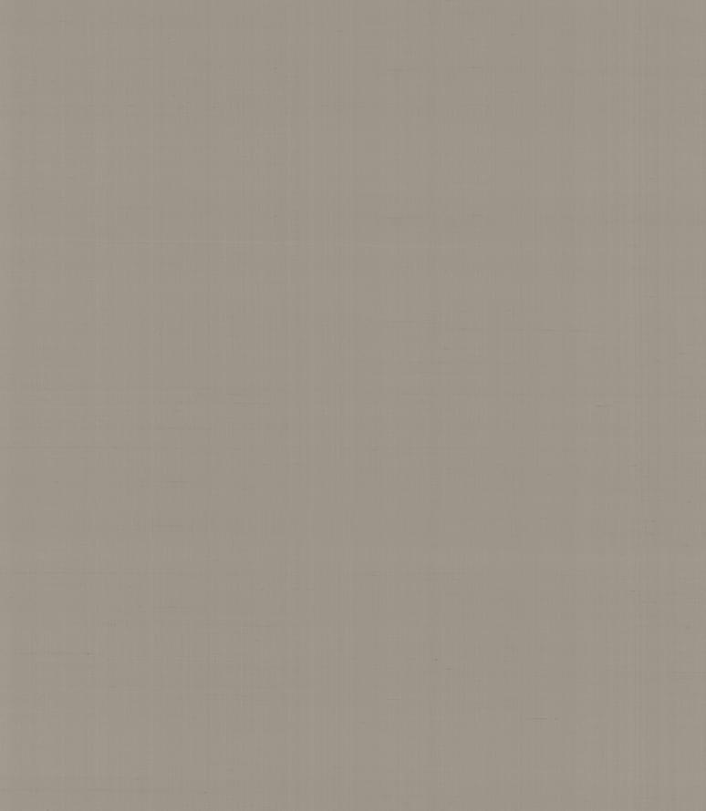 Armani Casa Precious Fibers 2 Plain Salome-Iolanta-Nabucco-Lohengrin 9063 GA4 10x87