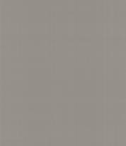 Armani Casa Precious Fibers 2 Plain Salome-Iolanta-Nabucco-Lohengrin 9064 GA4 10м x 87см поверхность матовая