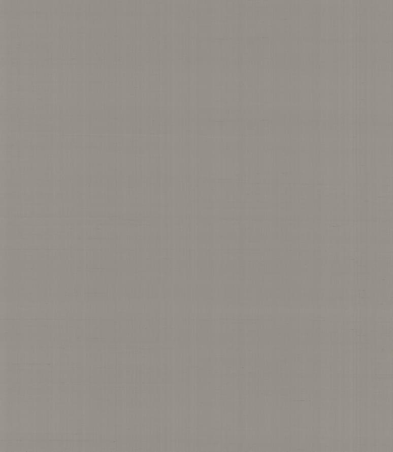 Armani Casa Precious Fibers 2 Plain Salome-Iolanta-Nabucco-Lohengrin 9064 GA4 10x87