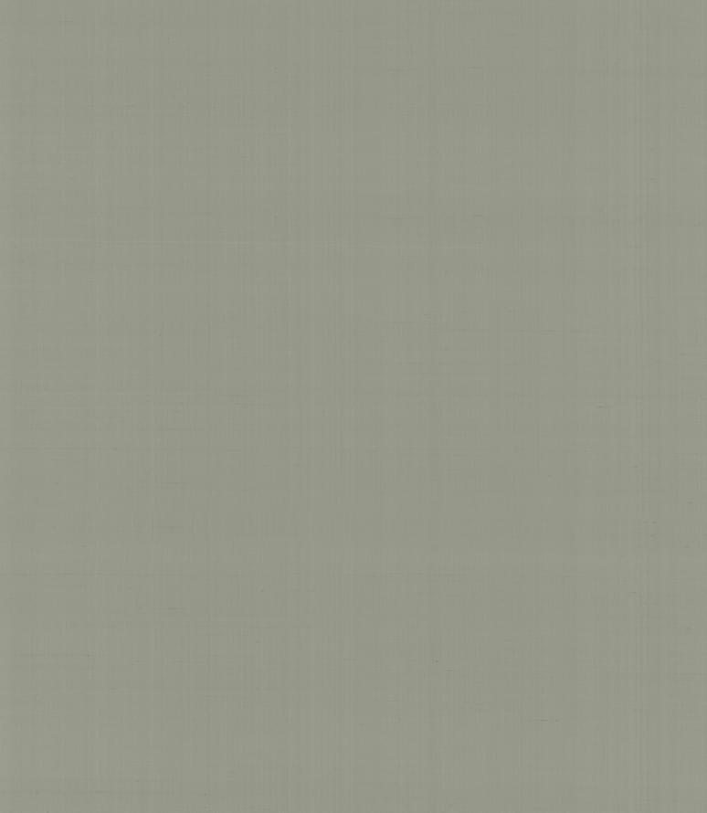 Armani Casa Precious Fibers 2 Plain Salome-Iolanta-Nabucco-Lohengrin 9065 GA4 10x87