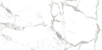 Плитка Art And Natura Marmo Calacata Vagli Super White Glossy 60x120 см, поверхность полированная