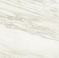 Плитка Artcer ArtSlab Marble Venato Bianco Lev 120x120 см, поверхность полированная