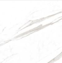 Плитка Artcer Eco Marble Super Satvario 60x60 см, поверхность полированная