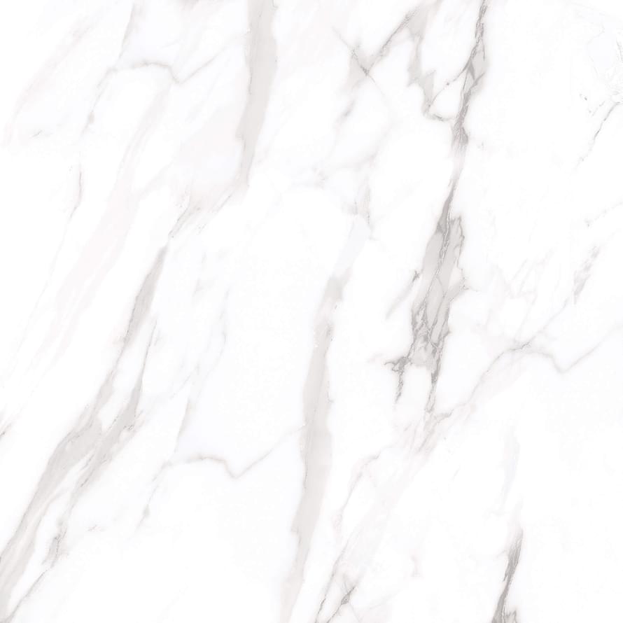 Artcer Marble Royal White Mate 60x60