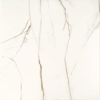 Плитка Arte Floris White 59.8x59.8 см, поверхность матовая