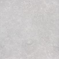 Плитка Arte Fuoco Grey 79.8x79.8 см, поверхность матовая