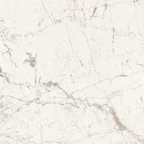Плитка Arte Graniti White 59.8x59.8 см, поверхность матовая