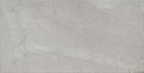 Плитка Arte Idylla Grey 30.8x60.8 см, поверхность глянец