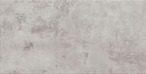 Плитка Arte Neutral Graphite 29.8x59.8 см, поверхность матовая