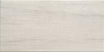 Плитка Arte Pinia White 22.3x44.8 см, поверхность глянец