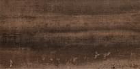 Плитка Arte Ramina Brown 29.8x59.8 см, поверхность полированная