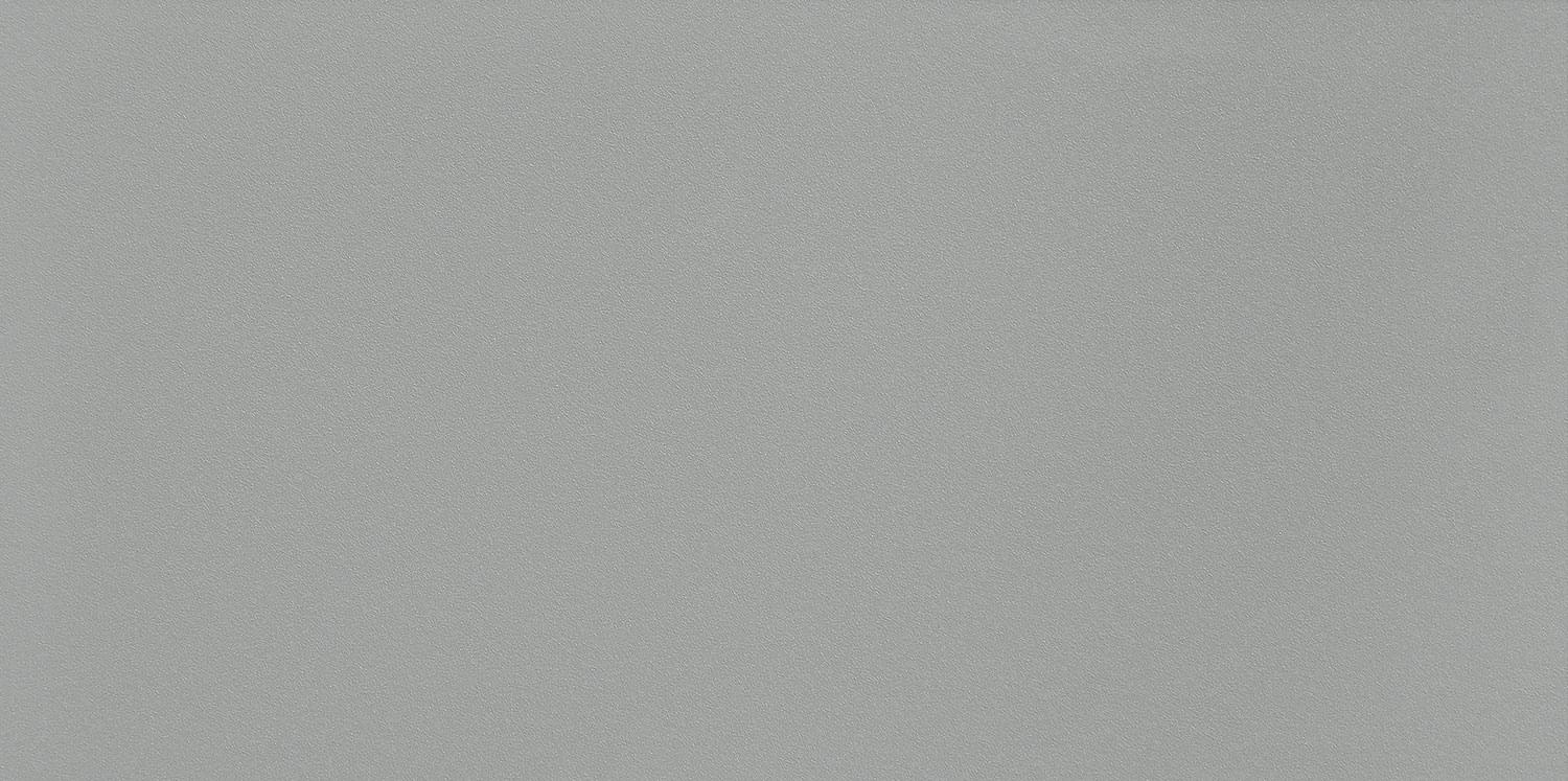 Arte Satini Grey 29.8x59.8