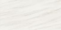 Плитка Arte Shellstone White 29.8x59.8 см, поверхность полированная