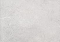 Плитка Arte Zelandia Grey 25x36 см, поверхность глянец