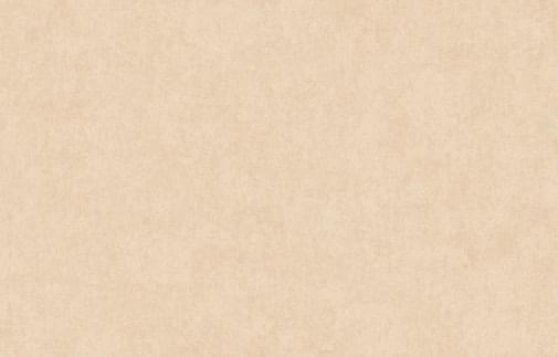 Artsimple Holidays ARTS13 003/1 10.05м x 100см поверхность матовая