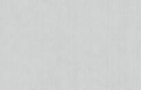 Artsimple Mozart ARTS4 001 10.05м x 100см поверхность матовая