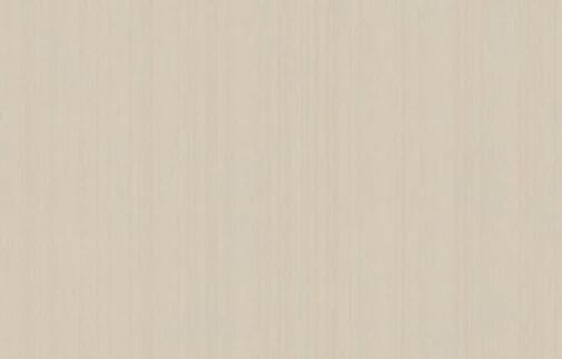 Artsimple Mozart ARTS4 003 10.05м x 100см поверхность матовая