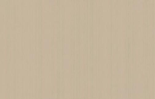 Artsimple Mozart ARTS4 004 10.05м x 100см поверхность матовая