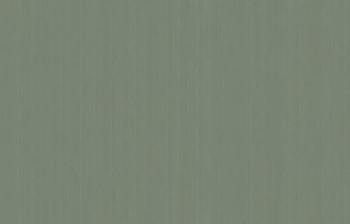 Artsimple Mozart ARTS4 005 10.05м x 100см поверхность матовая