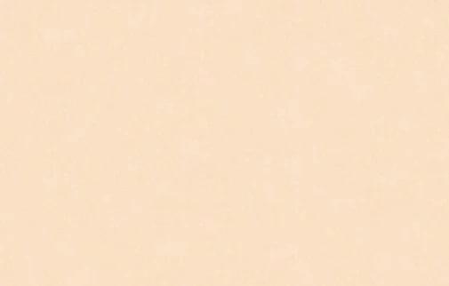 Artsimple Valley ARTS13 001/2 10.05м x 100см поверхность матовая