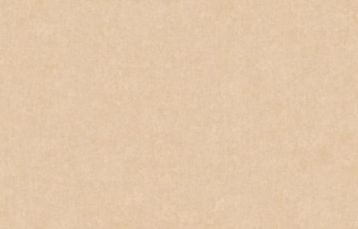 Artsimple Valley ARTS13 002/3 10.05м x 100см поверхность матовая