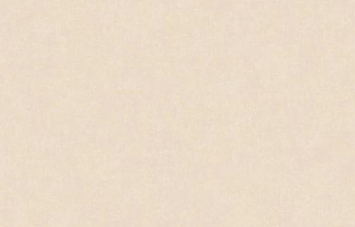 Artsimple Valley ARTS13 003/2 10.05м x 100см поверхность матовая