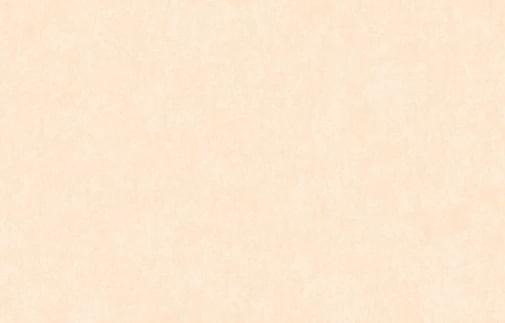 Artsimple Valley ARTS13 003/3 10.05м x 100см поверхность матовая