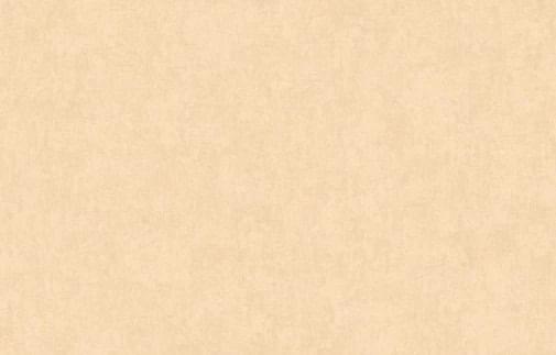 Artsimple Valley ARTS13 003/4 10.05м x 100см поверхность матовая