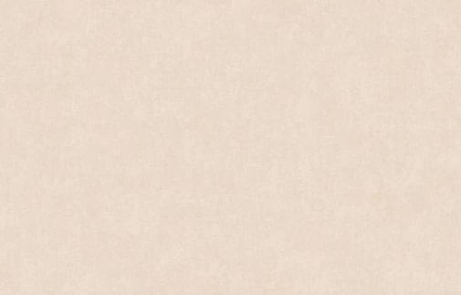 Artsimple Valley ARTS13 003/5 10.05м x 100см поверхность матовая