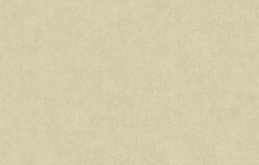 Artsimple Valley ARTS13 005/1 10.05м x 100см поверхность матовая