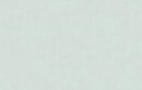 Artsimple Valley ARTS13 006/4 10.05м x 100см поверхность матовая