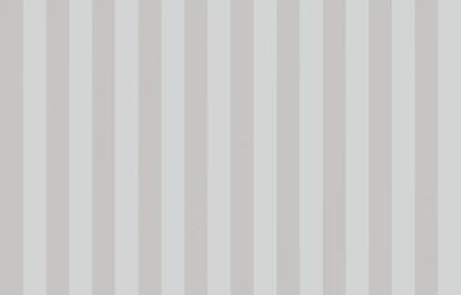 Artsimple Vertical ARTS5 001 10.05м x 100см поверхность матовая