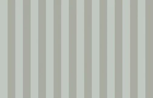 Artsimple Vertical ARTS5 005 10.05м x 100см поверхность матовая