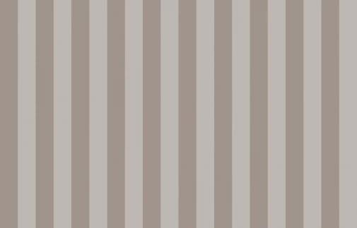 Artsimple Vertical ARTS5 010 10.05м x 100см поверхность матовая