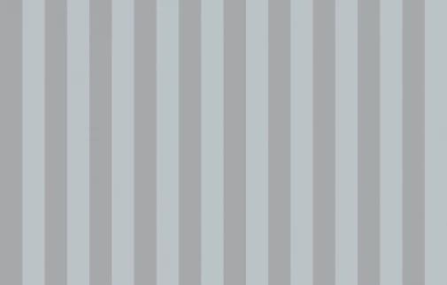 Artsimple Vertical ARTS5 011 10.05м x 100см поверхность матовая