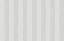 Artsimple Vertical ARTS6 001 10.05м x 100см поверхность матовая