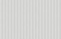 Artsimple Vertical ARTS9 001 10.05м x 100см поверхность матовая