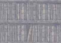 Astratonova Аристократ III-Lbr-02 Библиотека 10м x 70см, поверхность матовая