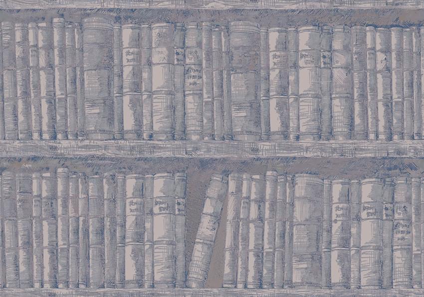 Astratonova Аристократ III-Lbr-02 Библиотека 10м x 70см, поверхность матовая