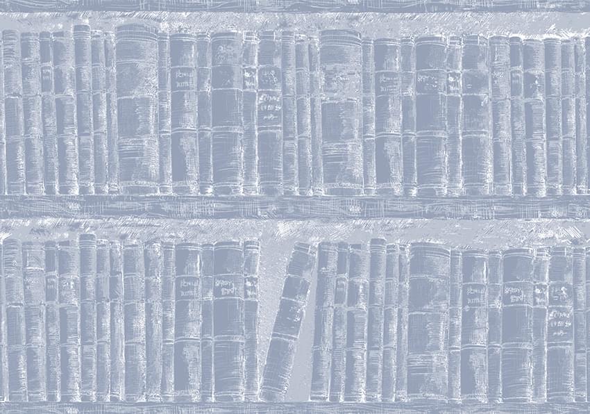 Astratonova Аристократ III-Lbr-08 Библиотека 10м x 70см, поверхность матовая