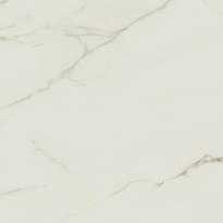 Плитка Atlas Concorde Russia Empire Calacatta Diamond Rett Распродажа 80x80 см, поверхность матовая