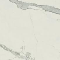 Плитка Atlas Concorde Russia Empire Statuario Ret Распродажа 60x60 см, поверхность матовая
