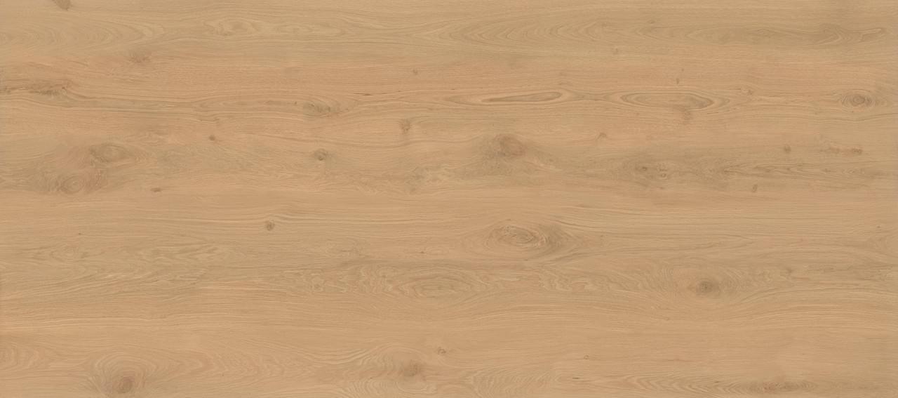 Atlas Concorde Log Icon Oak 6 mm 120x278