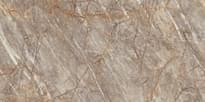 Плитка Atlas Concorde Marvel Epic Natural Roots Polished 6 mm Endless 160x320 см, поверхность полированная
