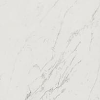 Плитка Atlas Concorde Marvel Calacatta Extra Распродажа 120x120 см, поверхность матовая