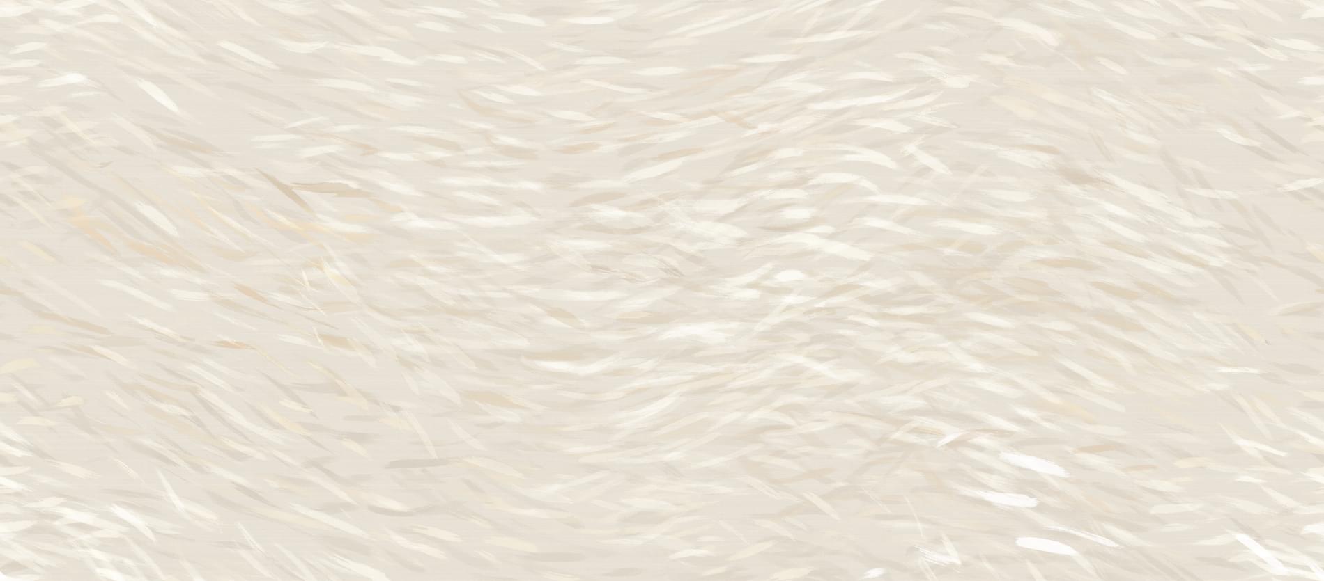 Atlas Concorde Vest Breath 6 mm 120x278