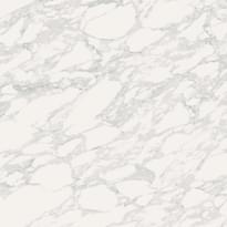 Плитка Ava Marmi Arabesque Lappato Rettiicato 60x60 см, поверхность полированная