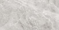 Плитка Axima Delhi Серая 60x120 см, поверхность матовая