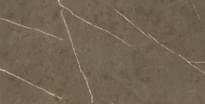 Плитка Basconi Home Porcelain Stone Brown 3D Ink Soft Glaze 60x120 см, поверхность матовая